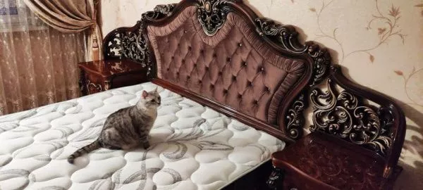Комплект спальни Джоконда, корень дуба глянец, Эра (кровать 1,8, тумба 2 шт., туалетный стол с зеркалом, пуф, шкаф 5 дверей) в Москве купить в интернет магазине - 5 Китов