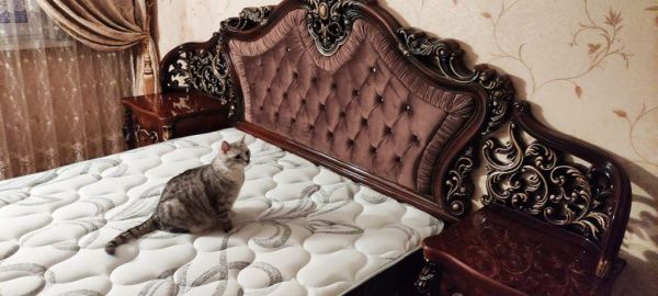 Прикроватная тумба Джоконда, корень дуба глянец, Эра в Москве купить в интернет магазине - 5 Китов
